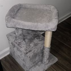 Cat Post