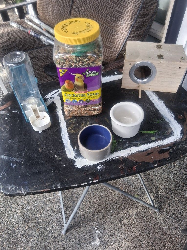 Birds Stuff