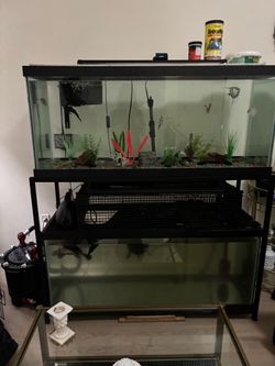 Complete 3-Tank Aquarium Setup – 2×75 Gallon + 65 Gallon – Equipment Included – $3,000 *NEGOTIABLE*