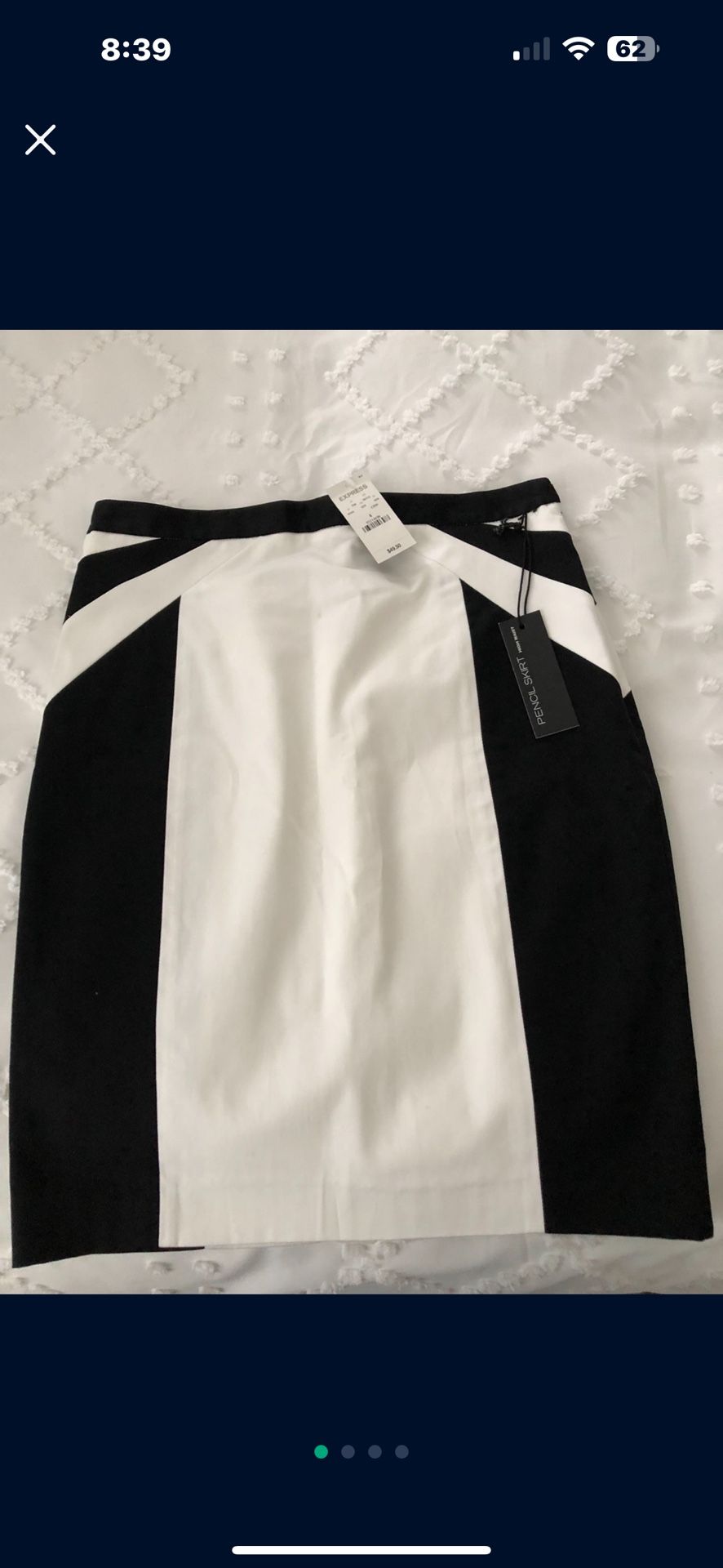 Express Pencil Skirt