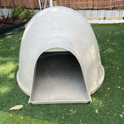 Dog House 