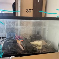 Aquarium - Fish tank - 29 Gallons