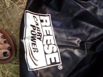 Reese carry power roof bag for automobiles