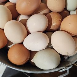 Huevos Frescos Orgánico A 5.00 La Docena 