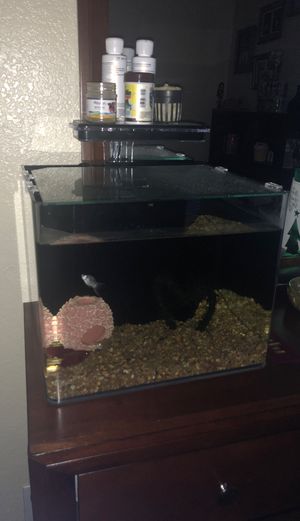 New And Used Fish Tank Decorations For Sale In Duncanville Tx