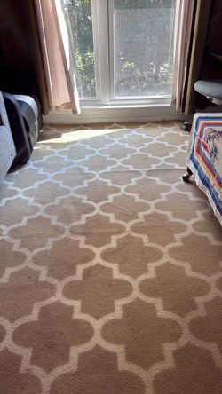 Large Tan Area Rug with Trellis Pattern