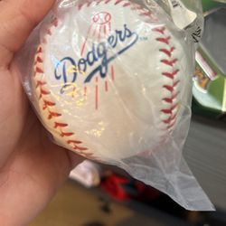 Dodger baseball bought at dodger  stadium