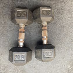 20 Lb Dumbbells