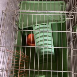 Guinea Pig Or Small Pet  Cage 