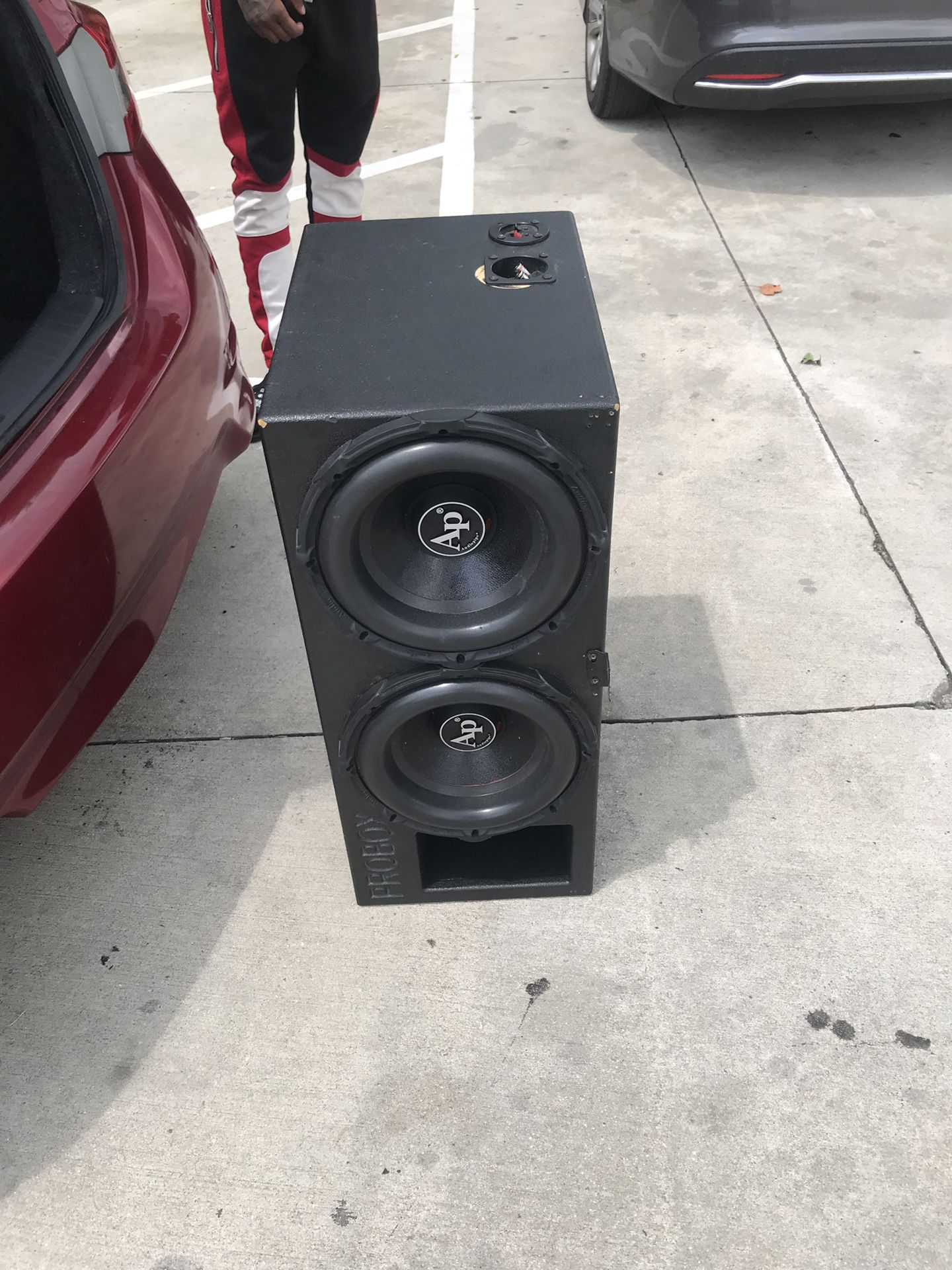 Pro box 12’ audio pipe speakers