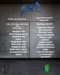 Trash Can And Light Driveway Cleaning
