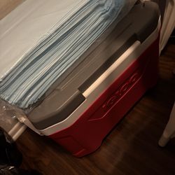 Red Igloo Like New