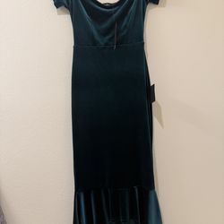 Formal velvet dress- small