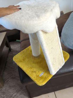 Small cat scratching tree