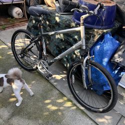 🚲 Trek Navigator 200 Hybrid Bike — 21” Frame (Large)