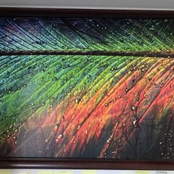 Featherlight Wall Art, Framed Canvas (48” x 32”). $200 off
