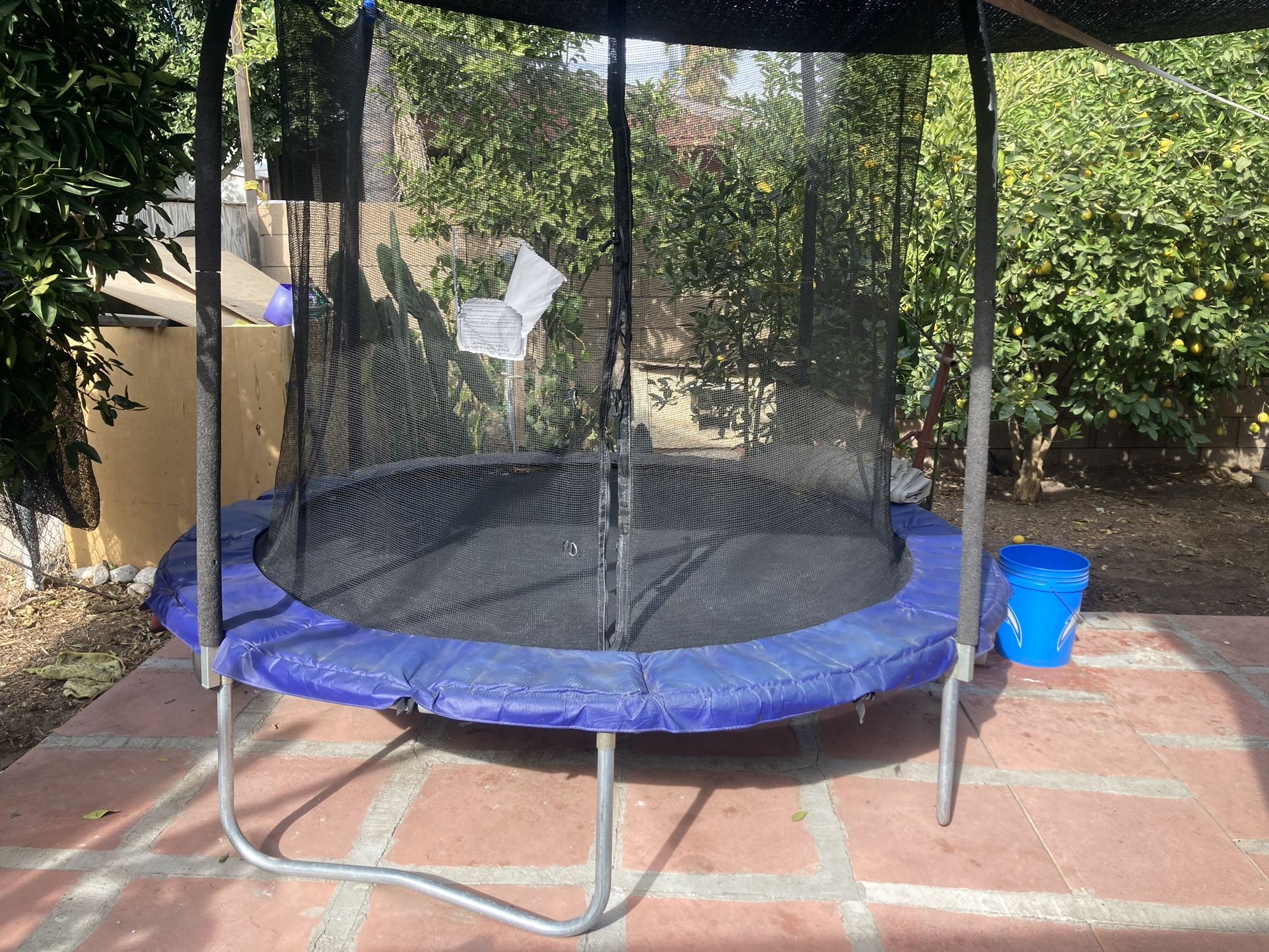 Trampoline