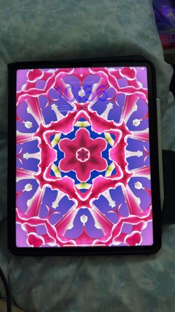 Ipad Pro (12.9-inch) (6th gen) w/ 256 GB storage + Apple Pencil