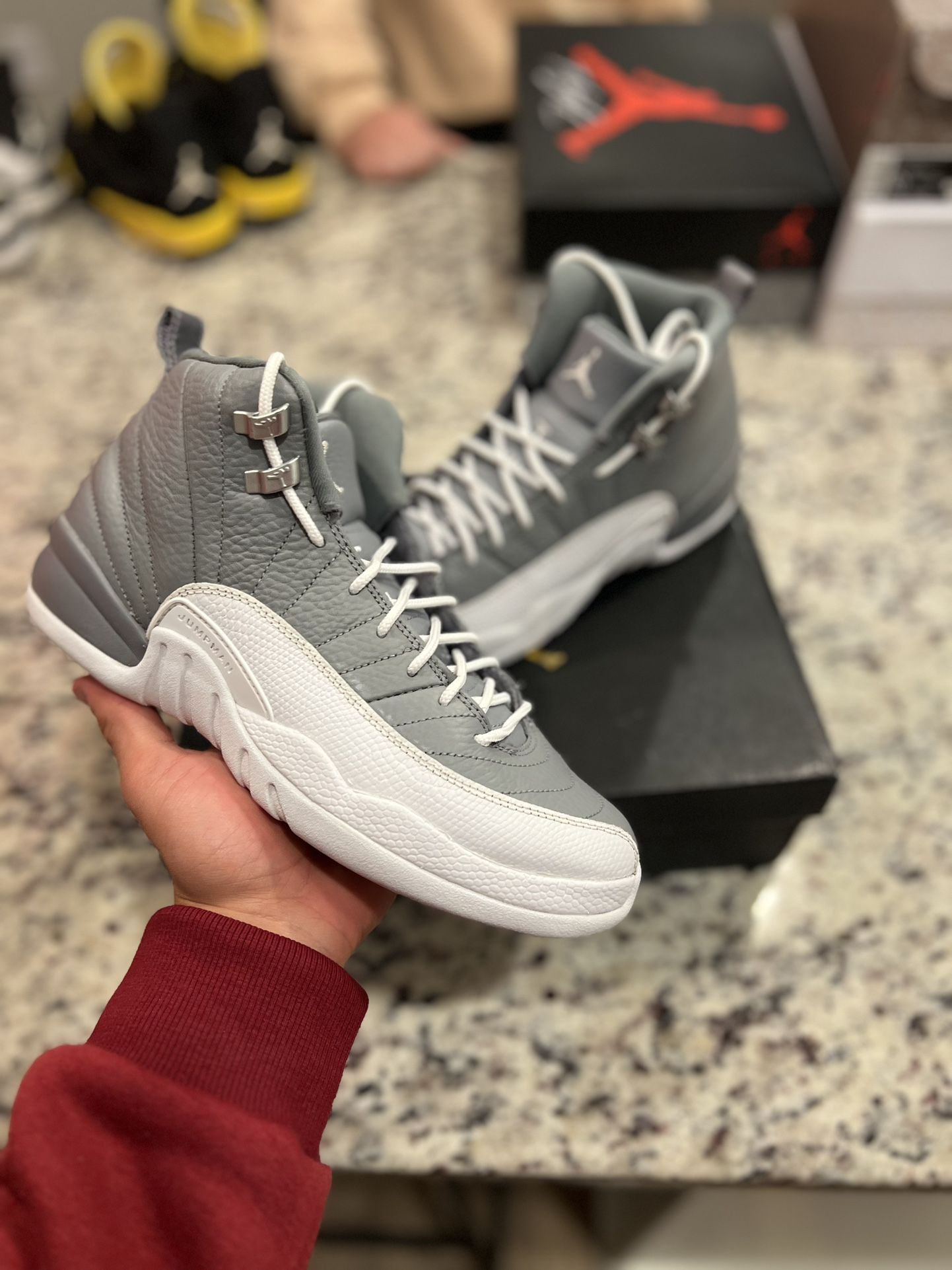 Jordan 12 Stealth