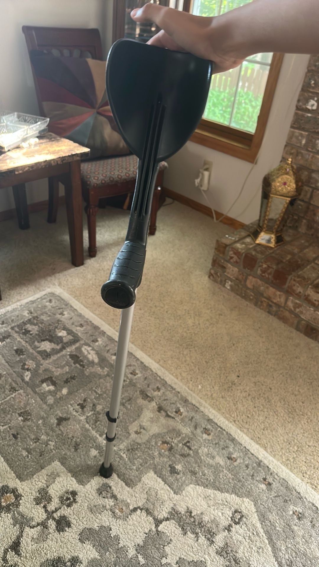 Cane