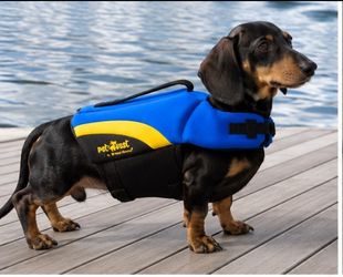 🐶 Small Dog Life Jacket / Safety Vest – Great for Dachshund – $15