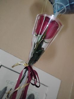 Mother's Day gift