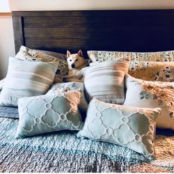 California King Bed frame (headboard/footboard)