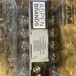 Savanah Clear String Lights