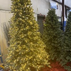 Christmas 🎄 