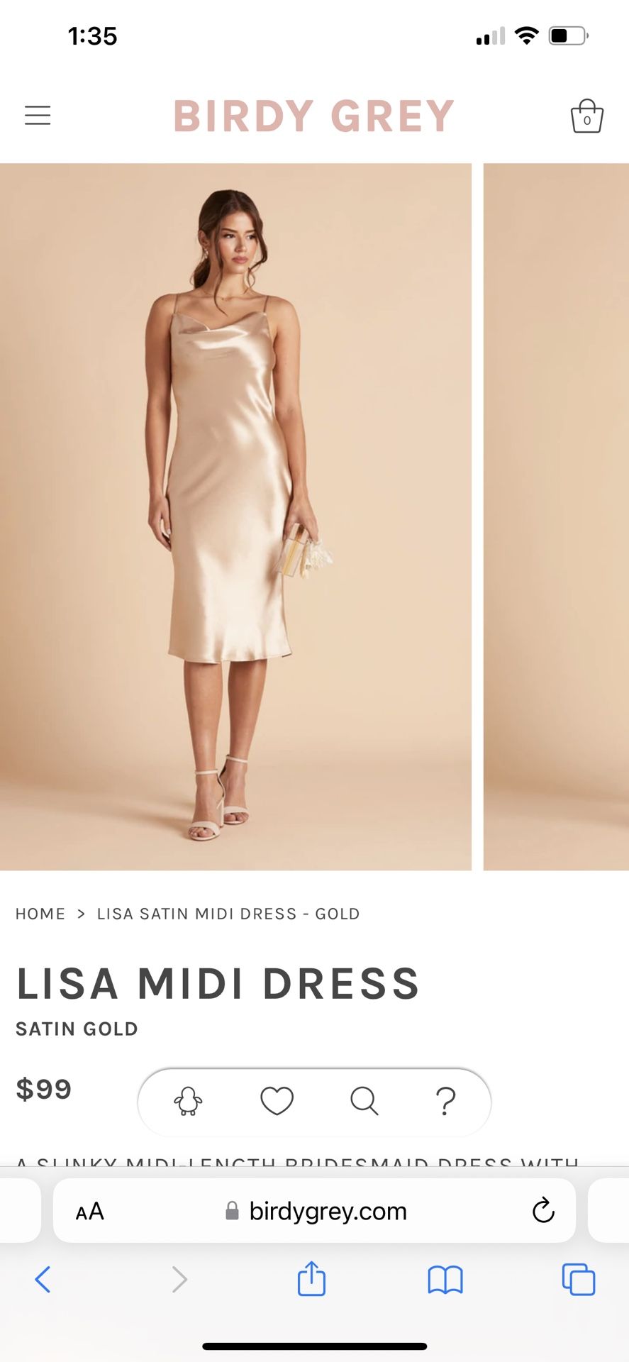 Brand New Birdy Grey Satin Dress