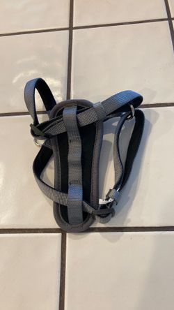 Dog harness