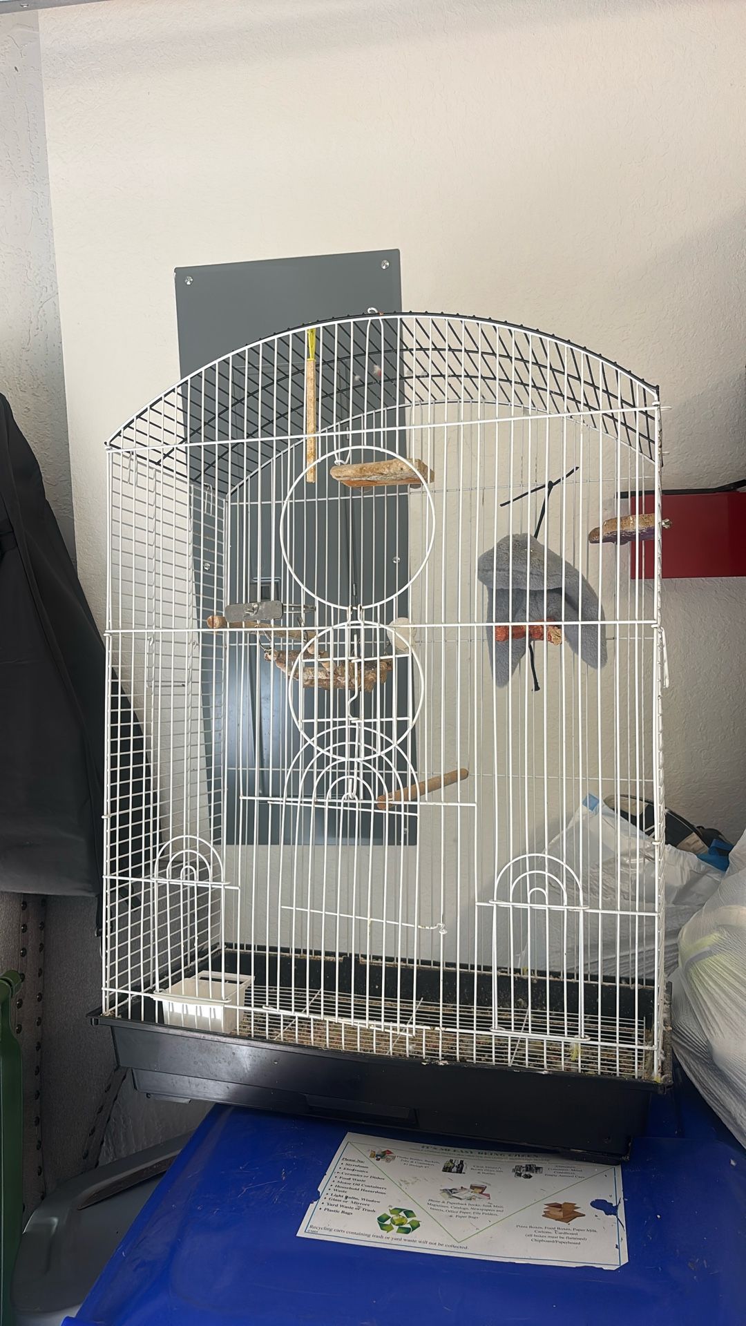 Bird Cage