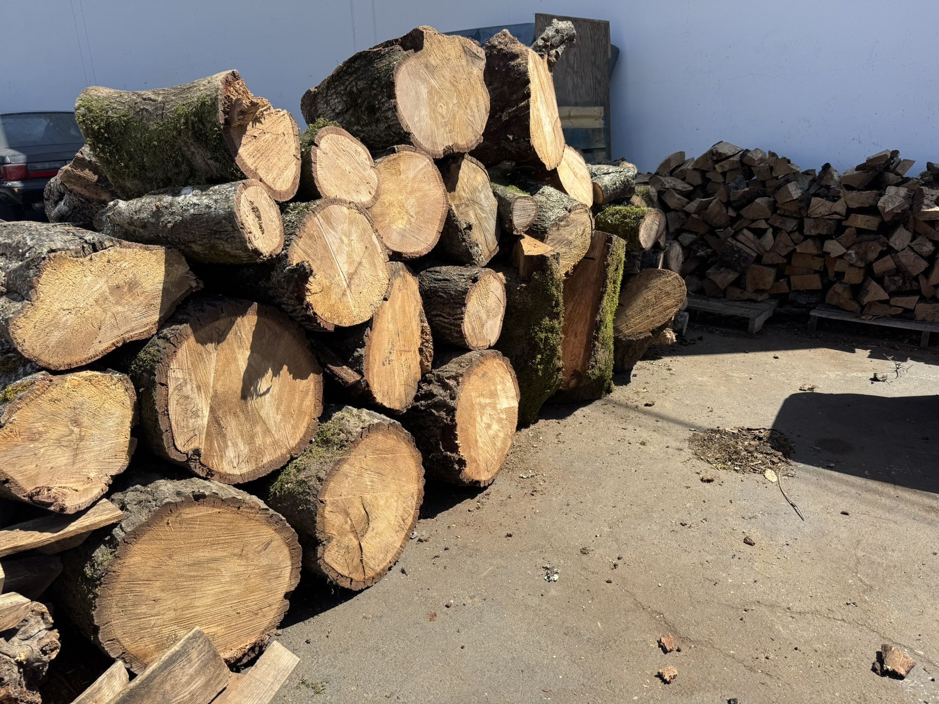 Dry Oak