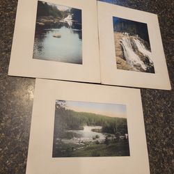 Nature photographs matted prints  set of 3