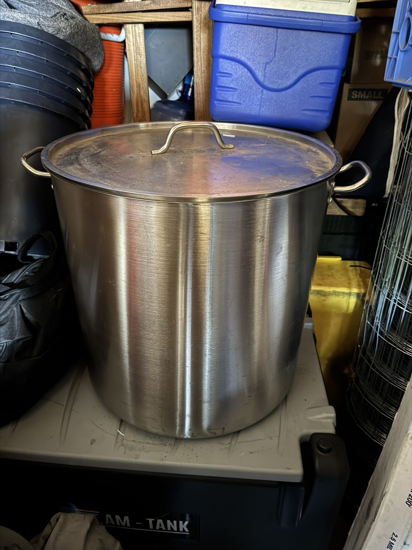 Pot