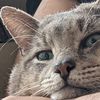 Sid