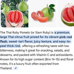 Thailand Ruby Pomelo 