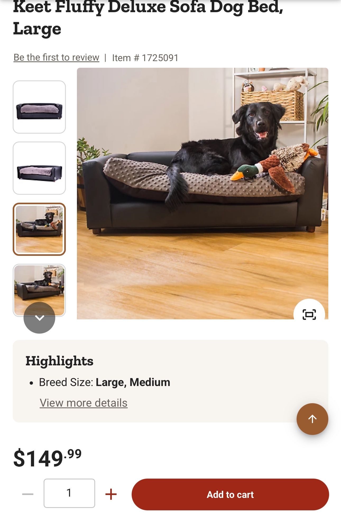 Brand New Beautiful Large Size Dog Bed That Looks Like A Couch