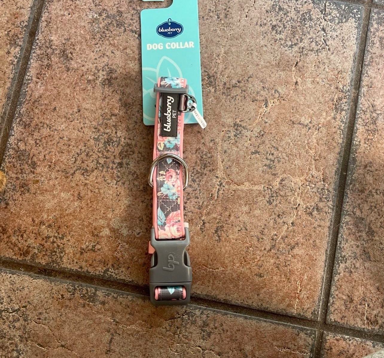 Dog Collar