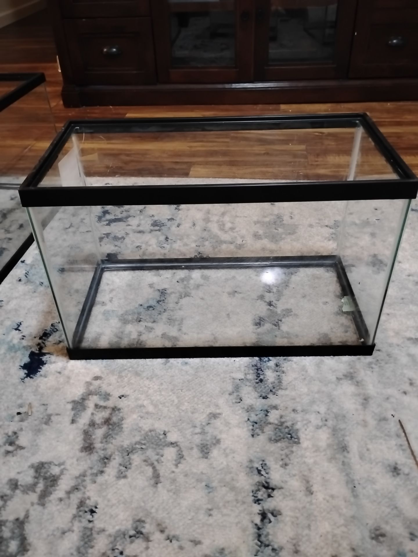 10 gallon fish tank