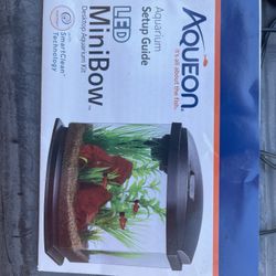 Mini Fish Tank