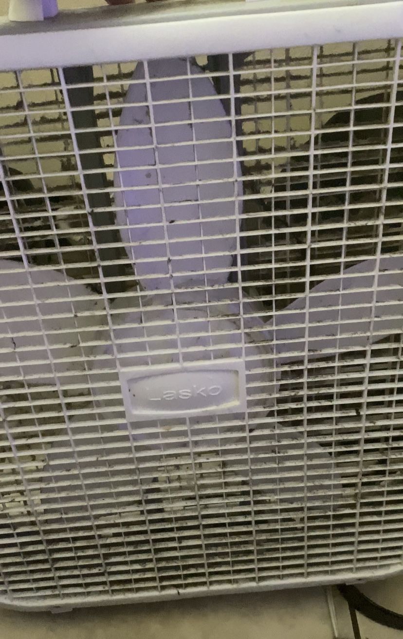 Standing Fan