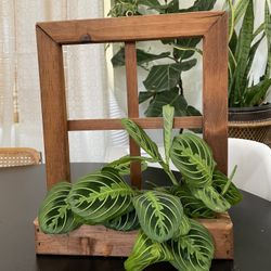 Vintage Window Decor 