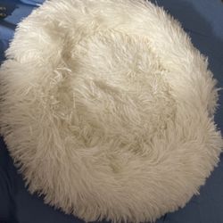 Small Dog Bed *new