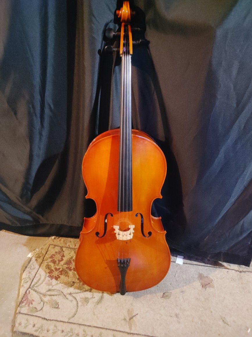 Eastman 4/4 Full Sized Student Cello With Bow And Case
