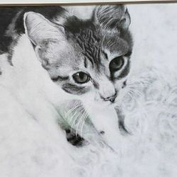 Realistic Pencil Drawing Of A Cat, Printed Copy. Size8x10