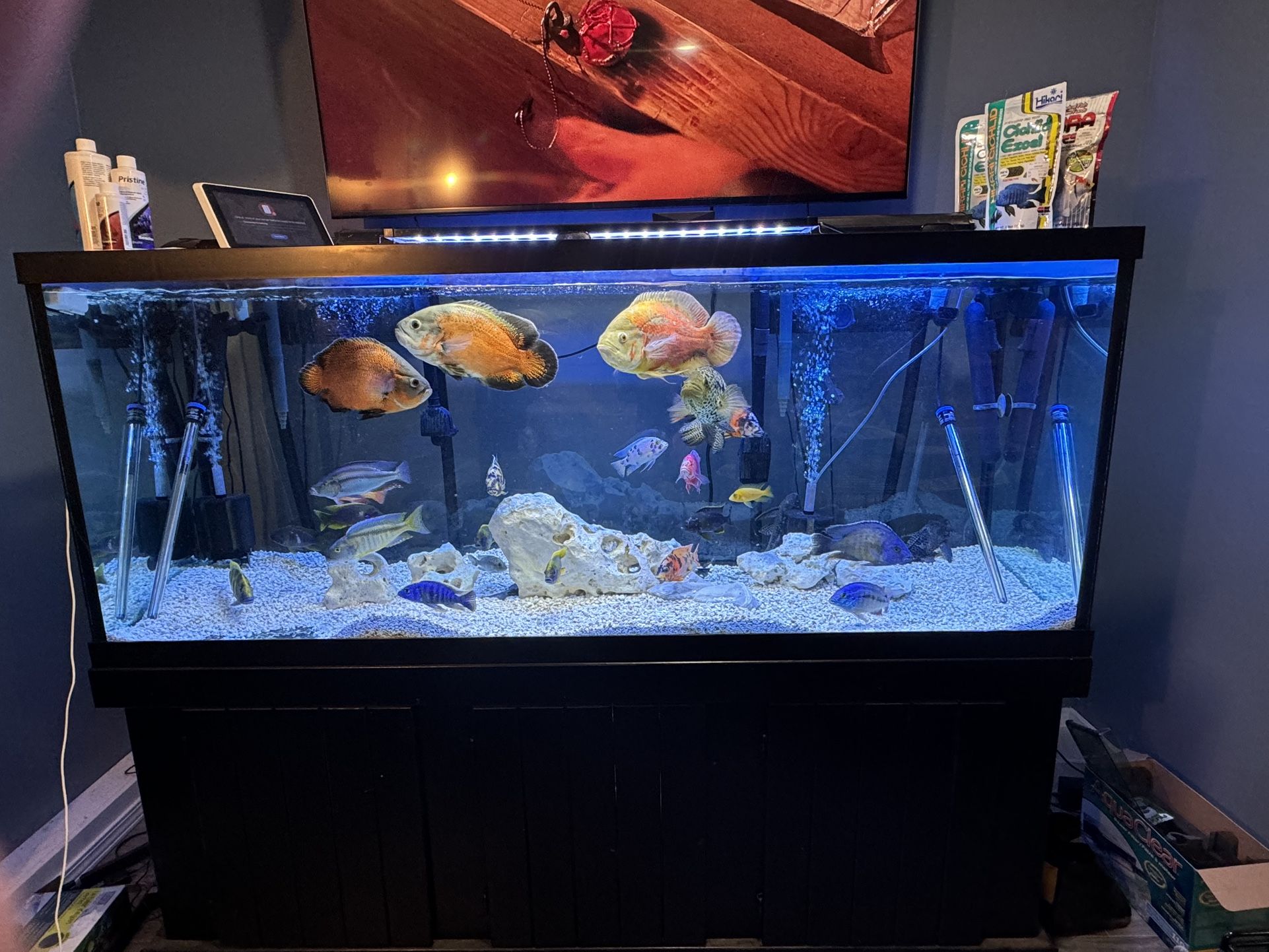 210 Gallon Aquarium For Sale Almost New