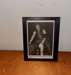 Sid Vicious / Price Magazine Print Ad Frame