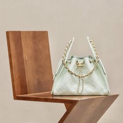 A classic bag for women