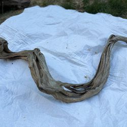 Organic driftwood